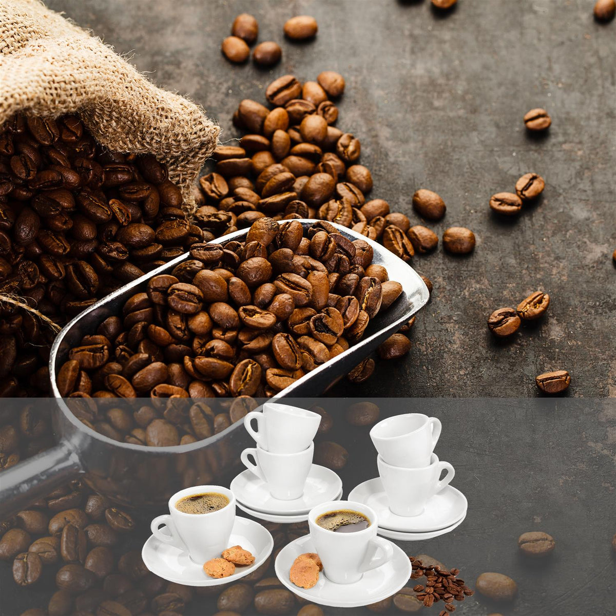 SÄNGER Espresso Cup Set New Port 12-piece for 6 people