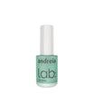 Vernis Amer Lab