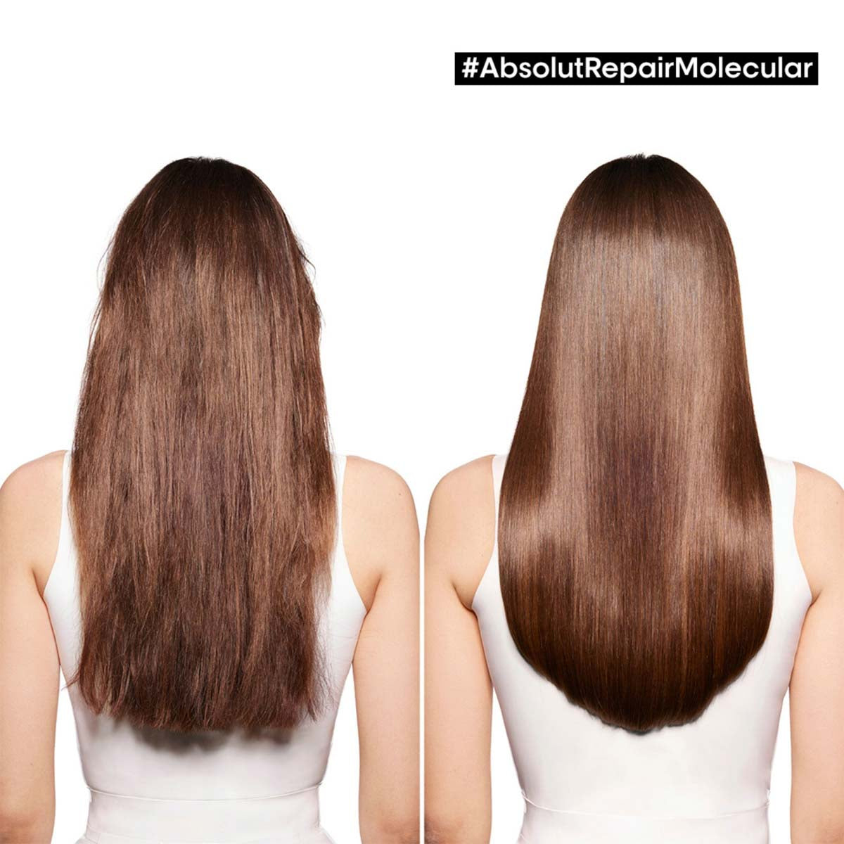 Absolut Repair Molecular Routine