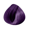 CRAZY COLORS Ring Extensions 10 Strands 50/55cm